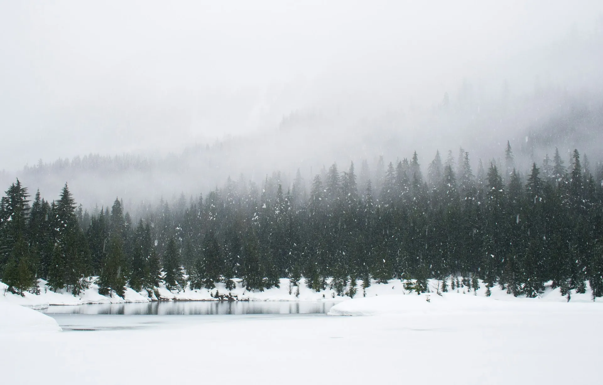 Winter 2026 Countdown